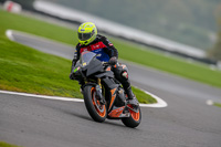 PJ-Motorsport-Photography-2018;anglesey;brands-hatch;cadwell-park;croft;donington-park;enduro-digital-images;event-digital-images;eventdigitalimages;mallory;no-limits;oulton-park;peter-wileman-photography;racing-digital-images;silverstone;snetterton;trackday-digital-images;trackday-photos;vmcc-banbury-run;welsh-2-day-enduro