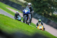 PJ-Motorsport-Photography-2018;anglesey;brands-hatch;cadwell-park;croft;donington-park;enduro-digital-images;event-digital-images;eventdigitalimages;mallory;no-limits;oulton-park;peter-wileman-photography;racing-digital-images;silverstone;snetterton;trackday-digital-images;trackday-photos;vmcc-banbury-run;welsh-2-day-enduro