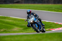 PJ-Motorsport-Photography-2018;anglesey;brands-hatch;cadwell-park;croft;donington-park;enduro-digital-images;event-digital-images;eventdigitalimages;mallory;no-limits;oulton-park;peter-wileman-photography;racing-digital-images;silverstone;snetterton;trackday-digital-images;trackday-photos;vmcc-banbury-run;welsh-2-day-enduro