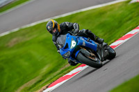 PJ-Motorsport-Photography-2018;anglesey;brands-hatch;cadwell-park;croft;donington-park;enduro-digital-images;event-digital-images;eventdigitalimages;mallory;no-limits;oulton-park;peter-wileman-photography;racing-digital-images;silverstone;snetterton;trackday-digital-images;trackday-photos;vmcc-banbury-run;welsh-2-day-enduro