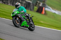 PJ-Motorsport-Photography-2018;anglesey;brands-hatch;cadwell-park;croft;donington-park;enduro-digital-images;event-digital-images;eventdigitalimages;mallory;no-limits;oulton-park;peter-wileman-photography;racing-digital-images;silverstone;snetterton;trackday-digital-images;trackday-photos;vmcc-banbury-run;welsh-2-day-enduro