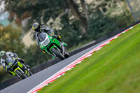 PJ-Motorsport-Photography-2018;anglesey;brands-hatch;cadwell-park;croft;donington-park;enduro-digital-images;event-digital-images;eventdigitalimages;mallory;no-limits;oulton-park;peter-wileman-photography;racing-digital-images;silverstone;snetterton;trackday-digital-images;trackday-photos;vmcc-banbury-run;welsh-2-day-enduro