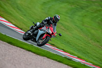 PJ-Motorsport-Photography-2018;anglesey;brands-hatch;cadwell-park;croft;donington-park;enduro-digital-images;event-digital-images;eventdigitalimages;mallory;no-limits;oulton-park;peter-wileman-photography;racing-digital-images;silverstone;snetterton;trackday-digital-images;trackday-photos;vmcc-banbury-run;welsh-2-day-enduro