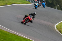PJ-Motorsport-Photography-2018;anglesey;brands-hatch;cadwell-park;croft;donington-park;enduro-digital-images;event-digital-images;eventdigitalimages;mallory;no-limits;oulton-park;peter-wileman-photography;racing-digital-images;silverstone;snetterton;trackday-digital-images;trackday-photos;vmcc-banbury-run;welsh-2-day-enduro