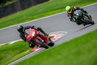 PJ-Motorsport-Photography-2018;anglesey;brands-hatch;cadwell-park;croft;donington-park;enduro-digital-images;event-digital-images;eventdigitalimages;mallory;no-limits;oulton-park;peter-wileman-photography;racing-digital-images;silverstone;snetterton;trackday-digital-images;trackday-photos;vmcc-banbury-run;welsh-2-day-enduro