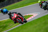 PJ-Motorsport-Photography-2018;anglesey;brands-hatch;cadwell-park;croft;donington-park;enduro-digital-images;event-digital-images;eventdigitalimages;mallory;no-limits;oulton-park;peter-wileman-photography;racing-digital-images;silverstone;snetterton;trackday-digital-images;trackday-photos;vmcc-banbury-run;welsh-2-day-enduro