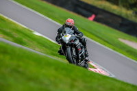 PJ-Motorsport-Photography;anglesey;brands-hatch;cadwell-park;croft;donington-park;enduro-digital-images;event-digital-images;eventdigitalimages;mallory;no-limits;oulton-park;peter-wileman-photography;racing-digital-images;silverstone;snetterton;trackday-digital-images;trackday-photos;vmcc-banbury-run;welsh-2-day-enduro