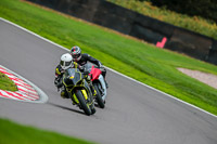 PJ-Motorsport-Photography;PJ-Motorsport-Photography-2018;anglesey;brands-hatch;cadwell-park;croft;donington-park;enduro-digital-images;event-digital-images;eventdigitalimages;mallory;no-limits;oulton-park;peter-wileman-photography;racing-digital-images;silverstone;snetterton;trackday-digital-images;trackday-photos;vmcc-banbury-run;welsh-2-day-enduro