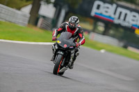 PJ-Motorsport-Photography;anglesey;brands-hatch;cadwell-park;croft;donington-park;enduro-digital-images;event-digital-images;eventdigitalimages;mallory;no-limits;oulton-park;peter-wileman-photography;racing-digital-images;silverstone;snetterton;trackday-digital-images;trackday-photos;vmcc-banbury-run;welsh-2-day-enduro