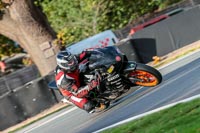 PJ-Motorsport-Photography;anglesey;brands-hatch;cadwell-park;croft;donington-park;enduro-digital-images;event-digital-images;eventdigitalimages;mallory;no-limits;oulton-park;peter-wileman-photography;racing-digital-images;silverstone;snetterton;trackday-digital-images;trackday-photos;vmcc-banbury-run;welsh-2-day-enduro