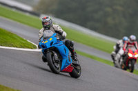 PJ-Motorsport-Photography-2018;anglesey;brands-hatch;cadwell-park;croft;donington-park;enduro-digital-images;event-digital-images;eventdigitalimages;mallory;no-limits;oulton-park;peter-wileman-photography;racing-digital-images;silverstone;snetterton;trackday-digital-images;trackday-photos;vmcc-banbury-run;welsh-2-day-enduro
