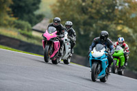 Middle Group Blue Bikes