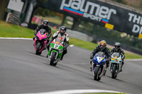 PJ-Motorsport-Photography;PJ-Motorsport-Photography-2018;anglesey;brands-hatch;cadwell-park;croft;donington-park;enduro-digital-images;event-digital-images;eventdigitalimages;mallory;no-limits;oulton-park;peter-wileman-photography;racing-digital-images;silverstone;snetterton;trackday-digital-images;trackday-photos;vmcc-banbury-run;welsh-2-day-enduro