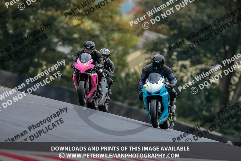 PJ Motorsport Photography;anglesey;brands hatch;cadwell park;croft;donington park;enduro digital images;event digital images;eventdigitalimages;mallory;no limits;oulton park;peter wileman photography;racing digital images;silverstone;snetterton;trackday digital images;trackday photos;vmcc banbury run;welsh 2 day enduro