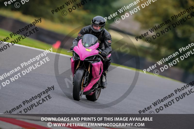 PJ Motorsport Photography;PJ Motorsport Photography 2018;anglesey;brands hatch;cadwell park;croft;donington park;enduro digital images;event digital images;eventdigitalimages;mallory;no limits;oulton park;peter wileman photography;racing digital images;silverstone;snetterton;trackday digital images;trackday photos;vmcc banbury run;welsh 2 day enduro