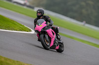 PJ-Motorsport-Photography-2018;anglesey;brands-hatch;cadwell-park;croft;donington-park;enduro-digital-images;event-digital-images;eventdigitalimages;mallory;no-limits;oulton-park;peter-wileman-photography;racing-digital-images;silverstone;snetterton;trackday-digital-images;trackday-photos;vmcc-banbury-run;welsh-2-day-enduro