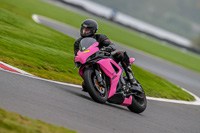 PJ-Motorsport-Photography-2018;anglesey;brands-hatch;cadwell-park;croft;donington-park;enduro-digital-images;event-digital-images;eventdigitalimages;mallory;no-limits;oulton-park;peter-wileman-photography;racing-digital-images;silverstone;snetterton;trackday-digital-images;trackday-photos;vmcc-banbury-run;welsh-2-day-enduro