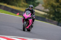 PJ-Motorsport-Photography;PJ-Motorsport-Photography-2018;anglesey;brands-hatch;cadwell-park;croft;donington-park;enduro-digital-images;event-digital-images;eventdigitalimages;mallory;no-limits;oulton-park;peter-wileman-photography;racing-digital-images;silverstone;snetterton;trackday-digital-images;trackday-photos;vmcc-banbury-run;welsh-2-day-enduro