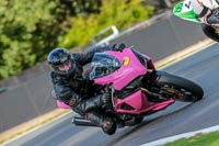 PJ-Motorsport-Photography;anglesey;brands-hatch;cadwell-park;croft;donington-park;enduro-digital-images;event-digital-images;eventdigitalimages;mallory;no-limits;oulton-park;peter-wileman-photography;racing-digital-images;silverstone;snetterton;trackday-digital-images;trackday-photos;vmcc-banbury-run;welsh-2-day-enduro