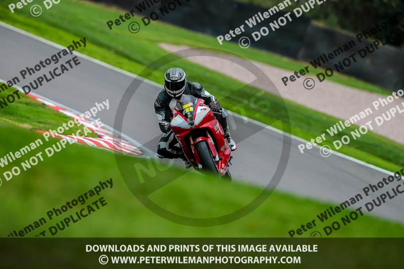PJ Motorsport Photography;PJ Motorsport Photography 2018;anglesey;brands hatch;cadwell park;croft;donington park;enduro digital images;event digital images;eventdigitalimages;mallory;no limits;oulton park;peter wileman photography;racing digital images;silverstone;snetterton;trackday digital images;trackday photos;vmcc banbury run;welsh 2 day enduro