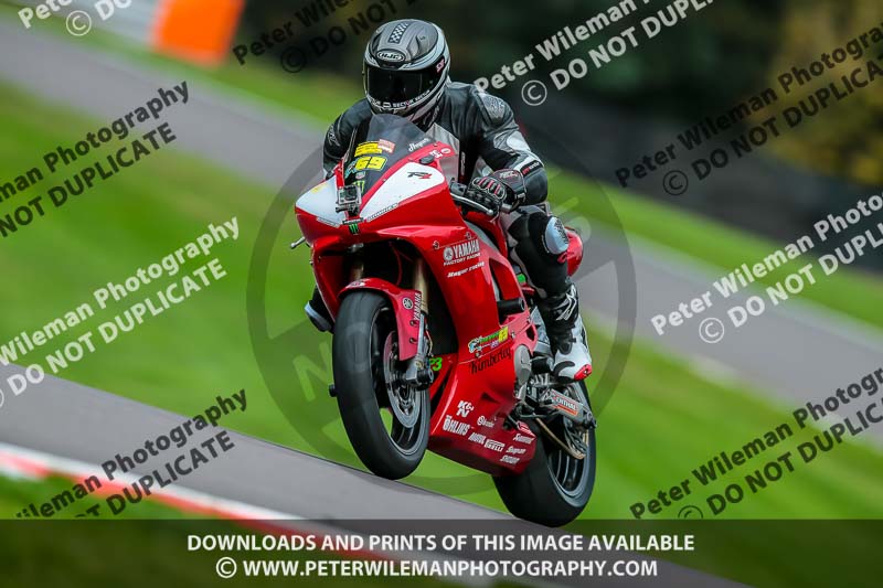 PJ Motorsport Photography;PJ Motorsport Photography 2018;anglesey;brands hatch;cadwell park;croft;donington park;enduro digital images;event digital images;eventdigitalimages;mallory;no limits;oulton park;peter wileman photography;racing digital images;silverstone;snetterton;trackday digital images;trackday photos;vmcc banbury run;welsh 2 day enduro