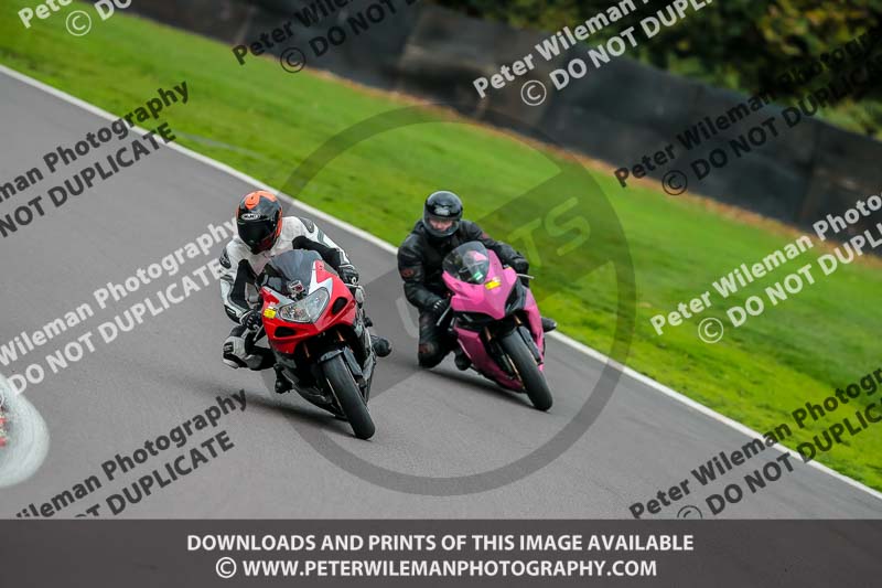 PJ Motorsport Photography;PJ Motorsport Photography 2018;anglesey;brands hatch;cadwell park;croft;donington park;enduro digital images;event digital images;eventdigitalimages;mallory;no limits;oulton park;peter wileman photography;racing digital images;silverstone;snetterton;trackday digital images;trackday photos;vmcc banbury run;welsh 2 day enduro