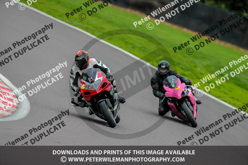 PJ Motorsport Photography;PJ Motorsport Photography 2018;anglesey;brands hatch;cadwell park;croft;donington park;enduro digital images;event digital images;eventdigitalimages;mallory;no limits;oulton park;peter wileman photography;racing digital images;silverstone;snetterton;trackday digital images;trackday photos;vmcc banbury run;welsh 2 day enduro