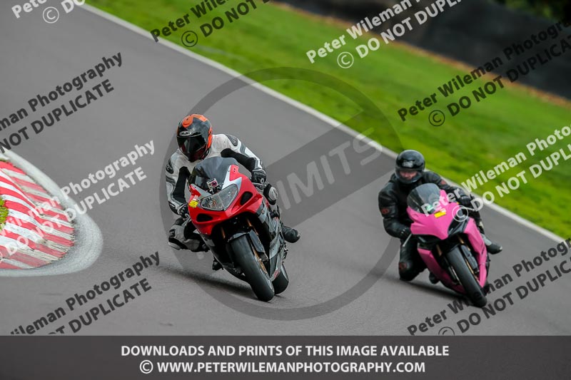 PJ Motorsport Photography;PJ Motorsport Photography 2018;anglesey;brands hatch;cadwell park;croft;donington park;enduro digital images;event digital images;eventdigitalimages;mallory;no limits;oulton park;peter wileman photography;racing digital images;silverstone;snetterton;trackday digital images;trackday photos;vmcc banbury run;welsh 2 day enduro