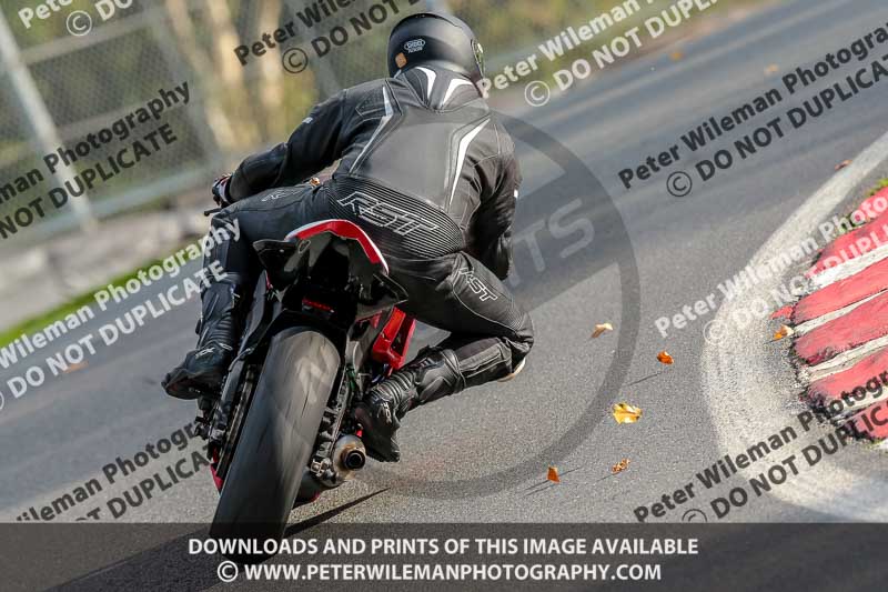 PJ Motorsport Photography;anglesey;brands hatch;cadwell park;croft;donington park;enduro digital images;event digital images;eventdigitalimages;mallory;no limits;oulton park;peter wileman photography;racing digital images;silverstone;snetterton;trackday digital images;trackday photos;vmcc banbury run;welsh 2 day enduro