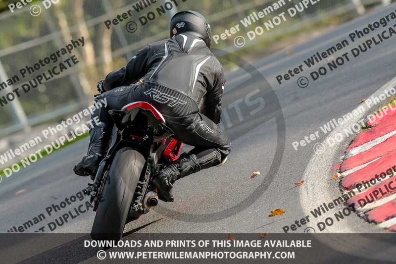 PJ Motorsport Photography;anglesey;brands hatch;cadwell park;croft;donington park;enduro digital images;event digital images;eventdigitalimages;mallory;no limits;oulton park;peter wileman photography;racing digital images;silverstone;snetterton;trackday digital images;trackday photos;vmcc banbury run;welsh 2 day enduro