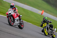 PJ-Motorsport-Photography-2018;anglesey;brands-hatch;cadwell-park;croft;donington-park;enduro-digital-images;event-digital-images;eventdigitalimages;mallory;no-limits;oulton-park;peter-wileman-photography;racing-digital-images;silverstone;snetterton;trackday-digital-images;trackday-photos;vmcc-banbury-run;welsh-2-day-enduro