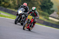 PJ-Motorsport-Photography;PJ-Motorsport-Photography-2018;anglesey;brands-hatch;cadwell-park;croft;donington-park;enduro-digital-images;event-digital-images;eventdigitalimages;mallory;no-limits;oulton-park;peter-wileman-photography;racing-digital-images;silverstone;snetterton;trackday-digital-images;trackday-photos;vmcc-banbury-run;welsh-2-day-enduro