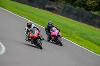 PJ-Motorsport-Photography;PJ-Motorsport-Photography-2018;anglesey;brands-hatch;cadwell-park;croft;donington-park;enduro-digital-images;event-digital-images;eventdigitalimages;mallory;no-limits;oulton-park;peter-wileman-photography;racing-digital-images;silverstone;snetterton;trackday-digital-images;trackday-photos;vmcc-banbury-run;welsh-2-day-enduro