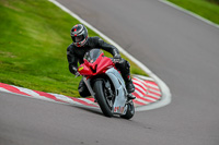 PJ-Motorsport-Photography;PJ-Motorsport-Photography-2018;anglesey;brands-hatch;cadwell-park;croft;donington-park;enduro-digital-images;event-digital-images;eventdigitalimages;mallory;no-limits;oulton-park;peter-wileman-photography;racing-digital-images;silverstone;snetterton;trackday-digital-images;trackday-photos;vmcc-banbury-run;welsh-2-day-enduro