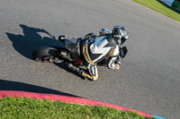 Advanced Group Black Bikes