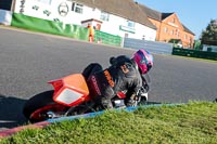 enduro-digital-images;event-digital-images;eventdigitalimages;mallory-park;mallory-park-photographs;mallory-park-trackday;mallory-park-trackday-photographs;no-limits-trackdays;peter-wileman-photography;racing-digital-images;trackday-digital-images;trackday-photos