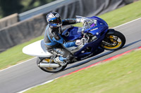 Lower Group Blue Bikes