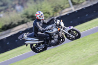 Lower Group Silver/Grey Bikes