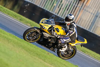 Evening Low/Mid Group Yellow Bikes