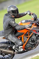 Lower Group Orange Bikes