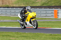 Middle Group Yellow Bikes