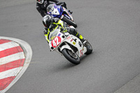 Lower Group White Bikes