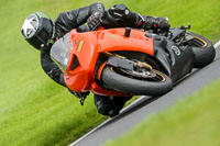 Advanced Group Orange Bikes