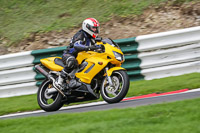 Lower Group Yellow Bikes