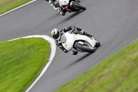 Middle  Group White Bikes