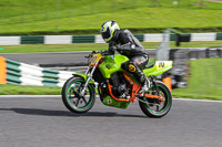 cadwell-no-limits-trackday;cadwell-park;cadwell-park-photographs;cadwell-trackday-photographs;enduro-digital-images;event-digital-images;eventdigitalimages;no-limits-trackdays;peter-wileman-photography;racing-digital-images;trackday-digital-images;trackday-photos