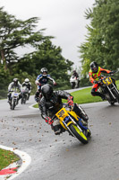 Advanced Group Yellow Bikes