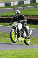 cadwell-no-limits-trackday;cadwell-park;cadwell-park-photographs;cadwell-trackday-photographs;enduro-digital-images;event-digital-images;eventdigitalimages;no-limits-trackdays;peter-wileman-photography;racing-digital-images;trackday-digital-images;trackday-photos