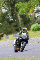 Lower Group Black Bikes