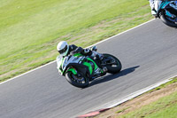 Advanced Group Green Bikes